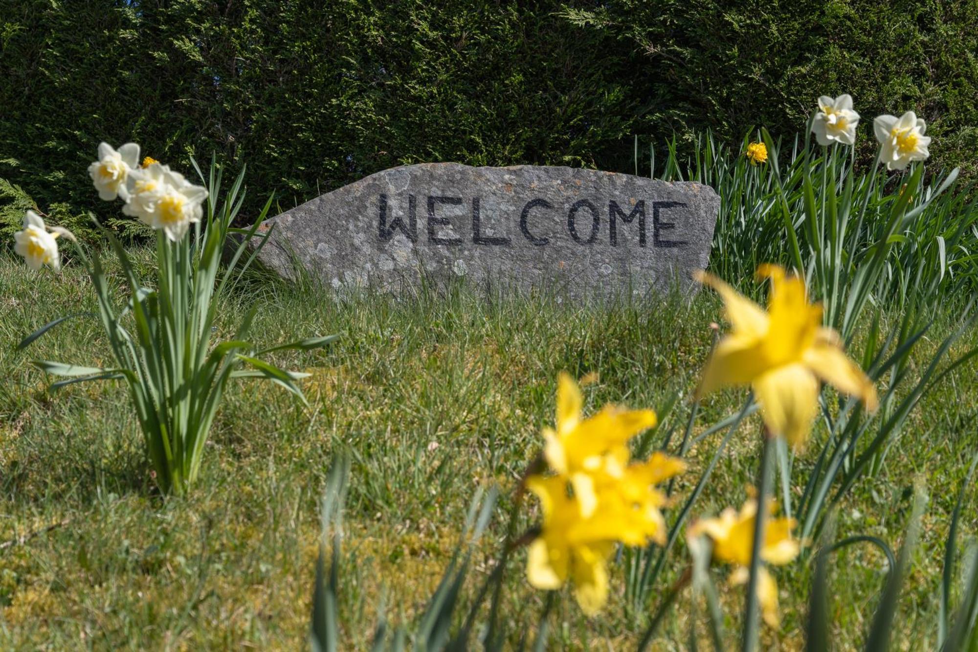 Mizpah Bed & Breakfast Near Ben Nevis Highlands Roybridge Esterno foto